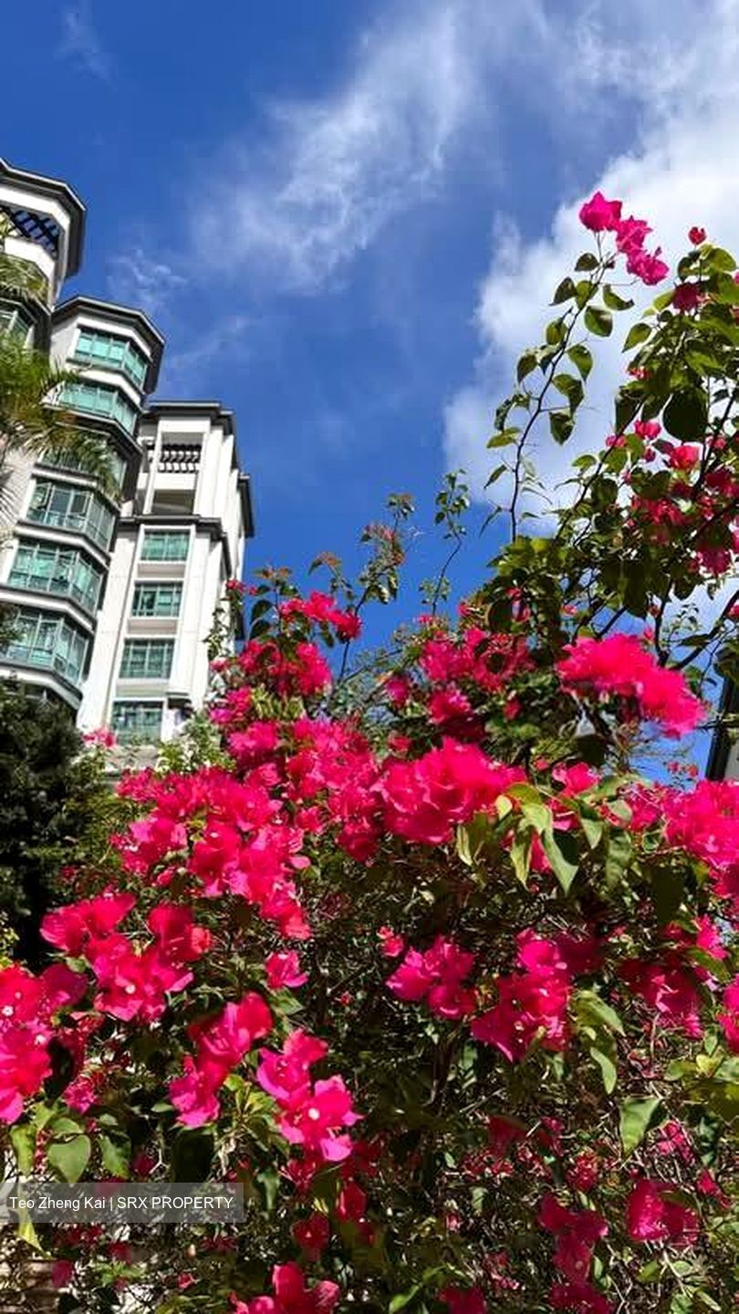 The Hillside (D21), Condominium #610578321